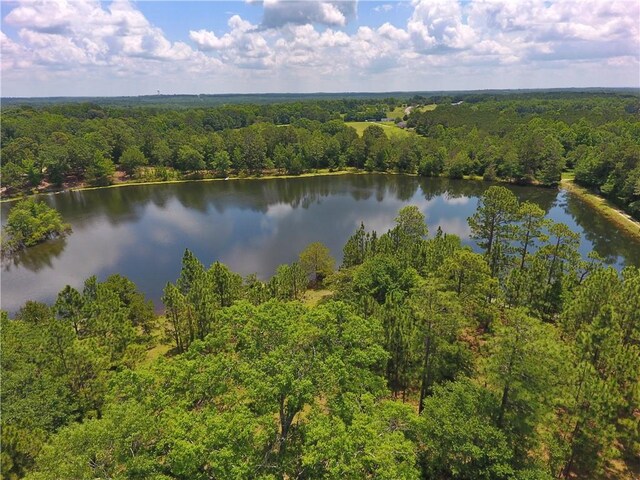 295 Lee Road 43, Beauregard, AL 36804 - photo 41
