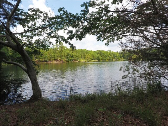 295 Lee Road 43, Beauregard, AL 36804 - photo 36