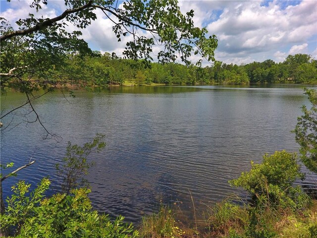 295 Lee Road 43, Beauregard, AL 36804 - photo 39