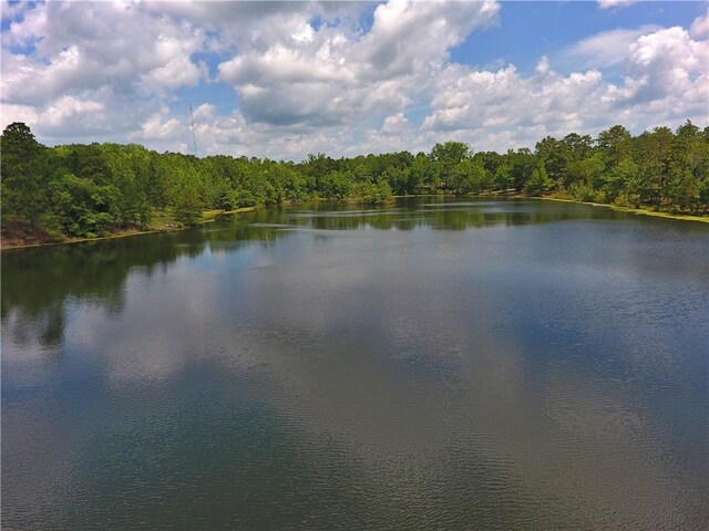 295 Lee Road 43, Beauregard, AL 36804 - photo 3