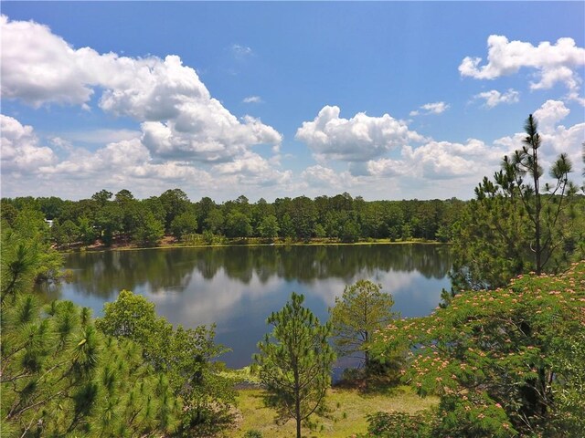 295 Lee Road 43, Beauregard, AL 36804 - photo 37