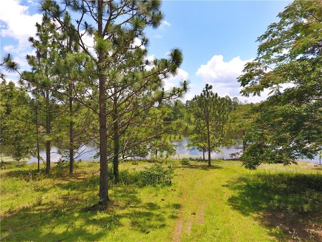 295 Lee Road 43, Beauregard, AL 36804 - photo 18