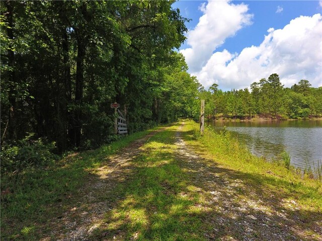 295 Lee Road 43, Beauregard, AL 36804 - photo 2