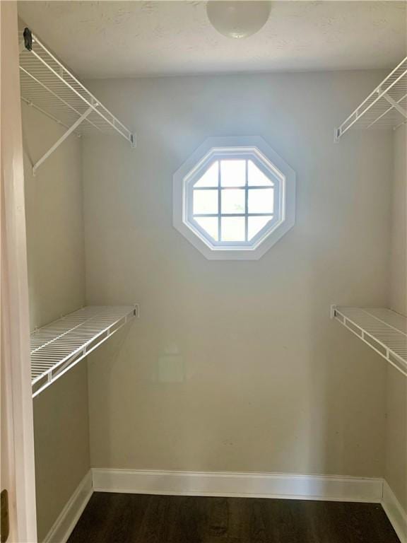 3672 Hawthorne Ct, Auburn, AL 36830 - walk in closet featuring dark wood finished floors