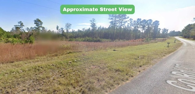 0 Farmville Rd, Notasulga, AL 36866