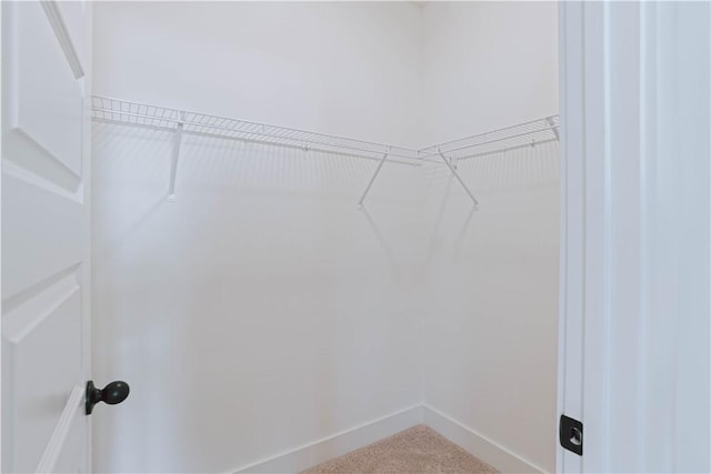 3232 Bradley Ln, Auburn, AL 36830 - spacious closet featuring light carpet