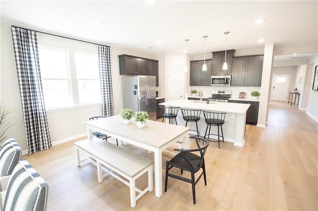 361 Lee Rd Unit 2232, Lot20, Cusseta, AL 36852 - dining room featuring baseboards, plenty of natural light, and light wood-type flooring