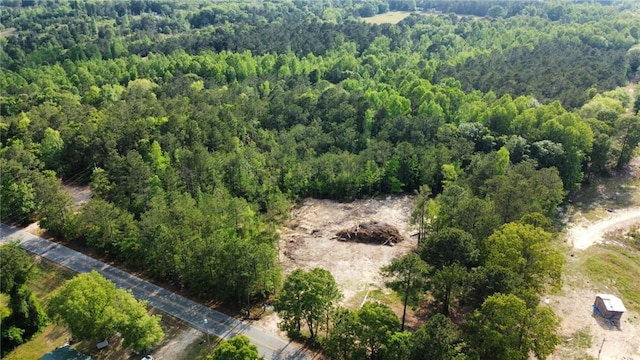 3288 Lee Road 40, Salem AL, 36874 land for sale