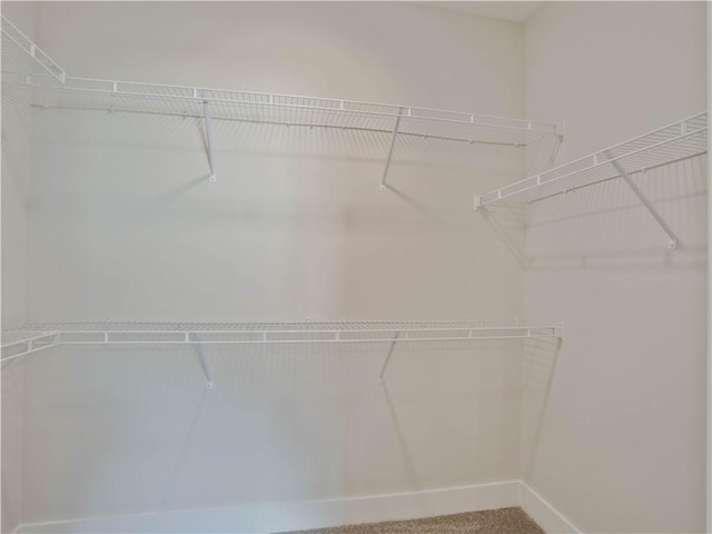 1003 Crossing Ct E, Valley, AL 36854 - spacious closet with carpet flooring