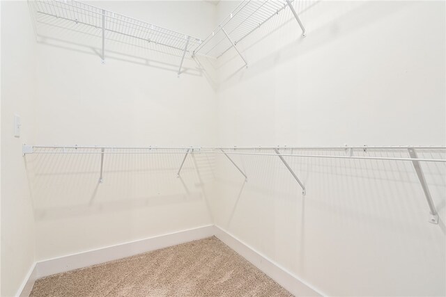 405 Peter St, Auburn, AL 36832 - photo 13