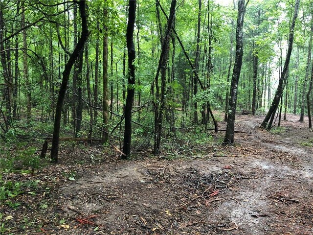 LOT2 Lee Road 38, Opelika, AL 36804 - photo 4