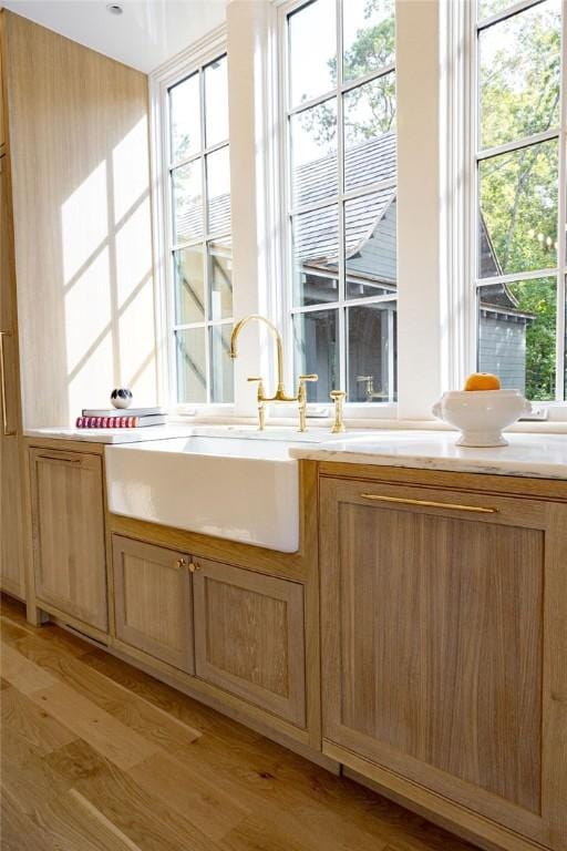 details featuring sink and wood-type flooring