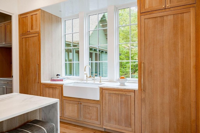 interior space featuring light stone countertops, sink, light hardwood / wood-style floors, and plenty of natural light