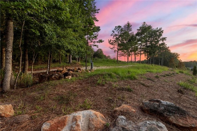 view of nature at dusk