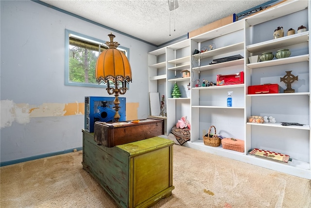 3509 Saugahatchee Lake Rd, Opelika, AL 36801 - interior space featuring a textured ceiling, a ceiling fan, and carpet flooring
