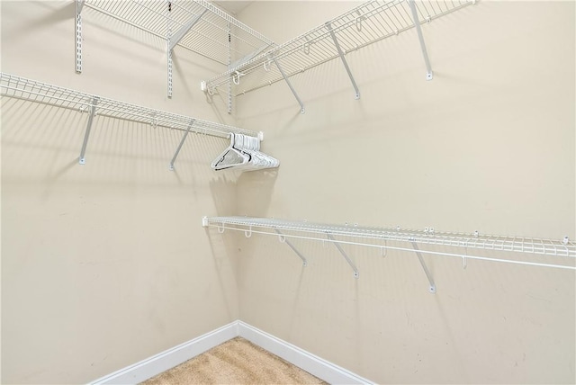 1817 Roanoke Ln, Auburn, AL 36830 - spacious closet featuring carpet flooring