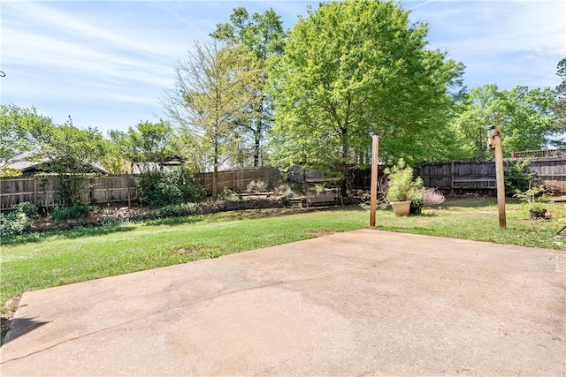 1817 Roanoke Ln, Auburn, AL 36830 - fenced backyard with a patio