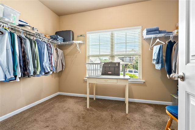 704 Lori Ln, Opelika, AL 36804 - walk in closet featuring carpet floors