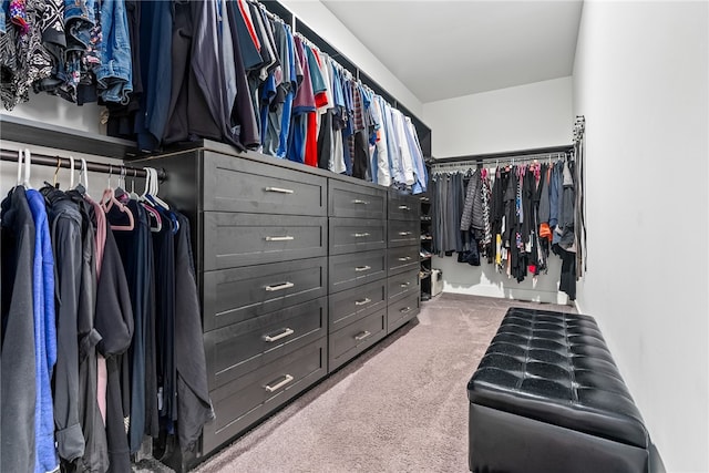 walk in closet featuring carpet flooring