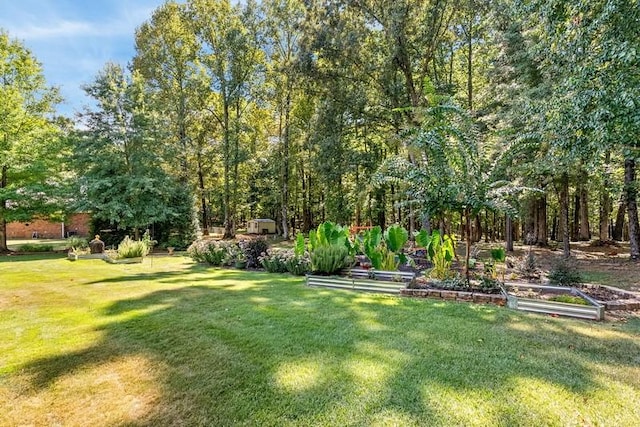 14699 Lee Road 188, Waverly, AL 36879 - view of yard featuring a garden