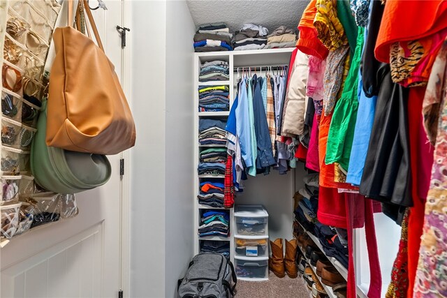 spacious closet featuring carpet floors