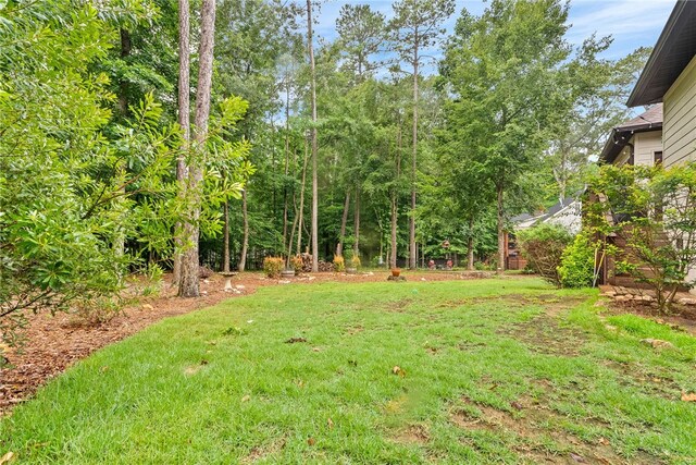 825 Stillwaters Dr, Dadeville, AL 36853 - photo 24