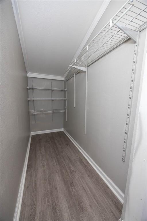 spacious closet with dark wood-type flooring