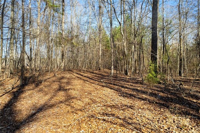 0 Rocky Brook Rd, Opelika AL, 36801 land for sale