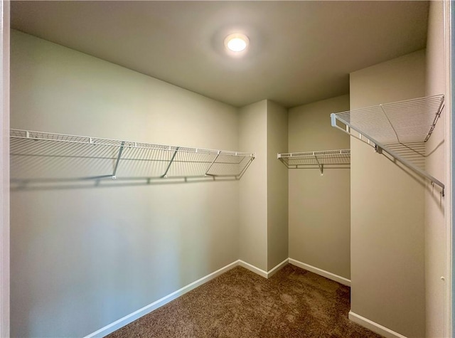 2248 Red Tail Ln, Auburn, AL 36879 - spacious closet featuring carpet