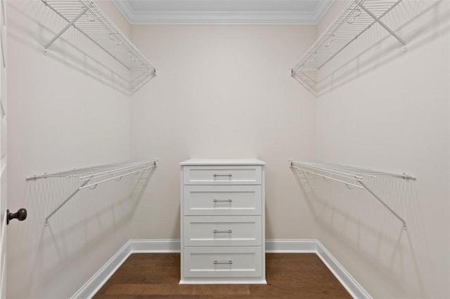 2140 Autumn Ridge Way, Auburn, AL 36879 - spacious closet with dark wood finished floors