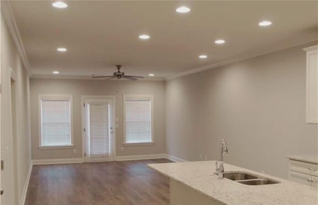 kitchen featuring sink, light stone counters, ornamental molding, dark hardwood / wood-style floors, and ceiling fan