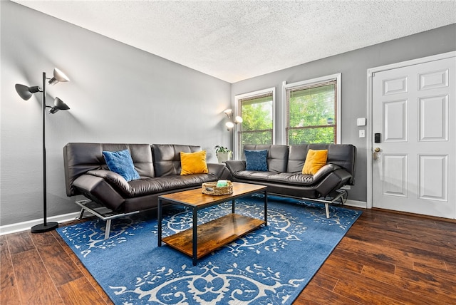 427 Harper Ave Unit 16, Auburn, AL 36830 - living area featuring wood finished floors and a textured ceiling
