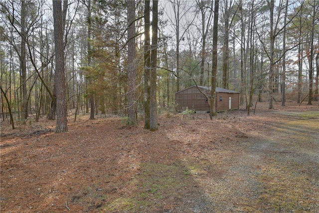 view of yard featuring a storage unit