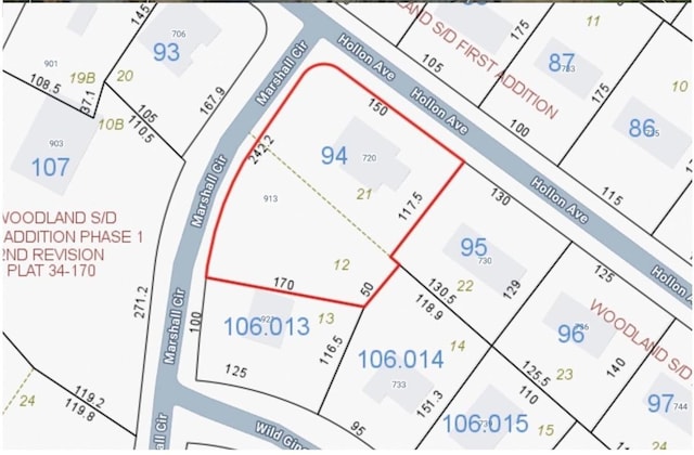 720 Hollon Ave, Auburn, AL 36830 - map of parcels