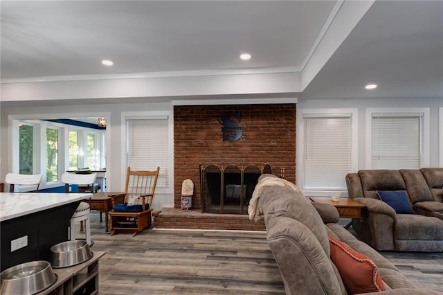 living room with a fireplace, crown molding, and hardwood / wood-style flooring