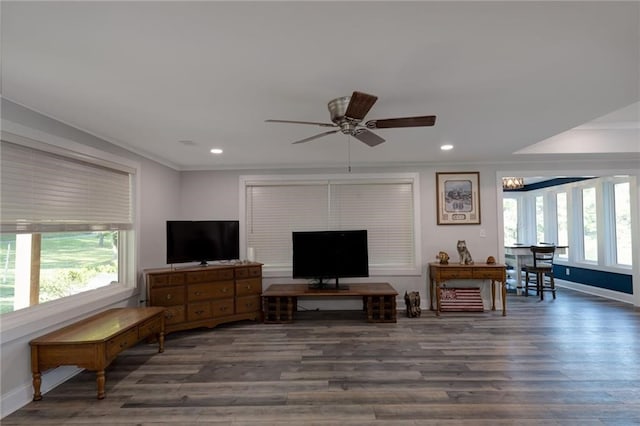 living room featuring crown molding, dark hardwood / wood-style floors, and ceiling fan