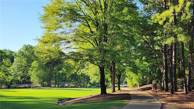 1798 Brookhaven Ct, Auburn, AL 36830 - view of community with a lawn