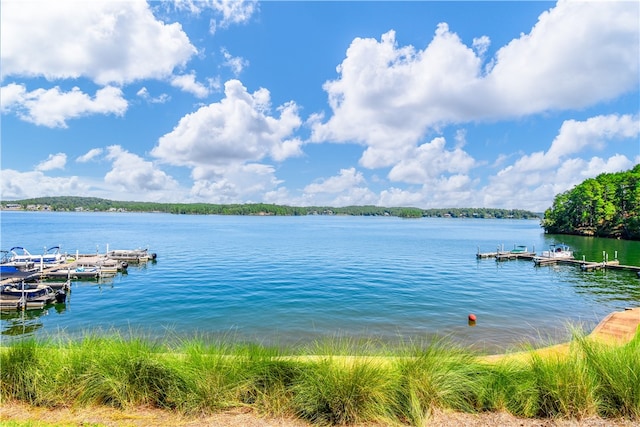 view of dock with a water view