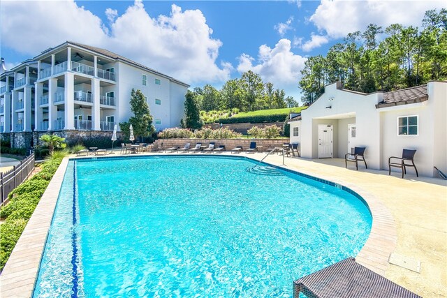 view of swimming pool with a patio area