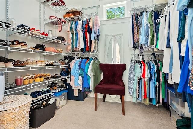 walk in closet featuring carpet flooring