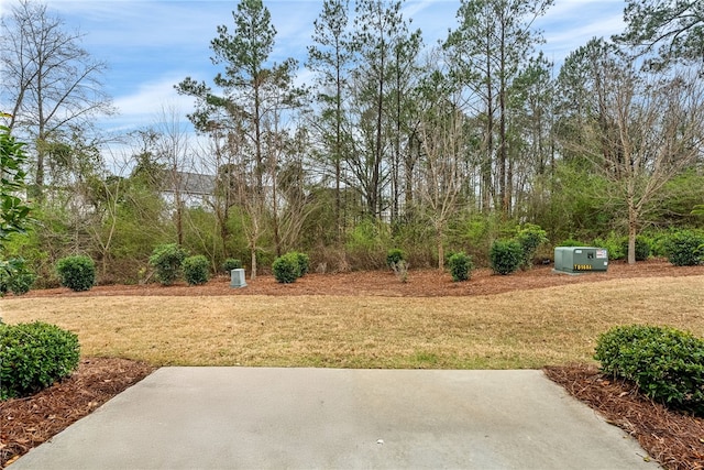 view of yard with a patio