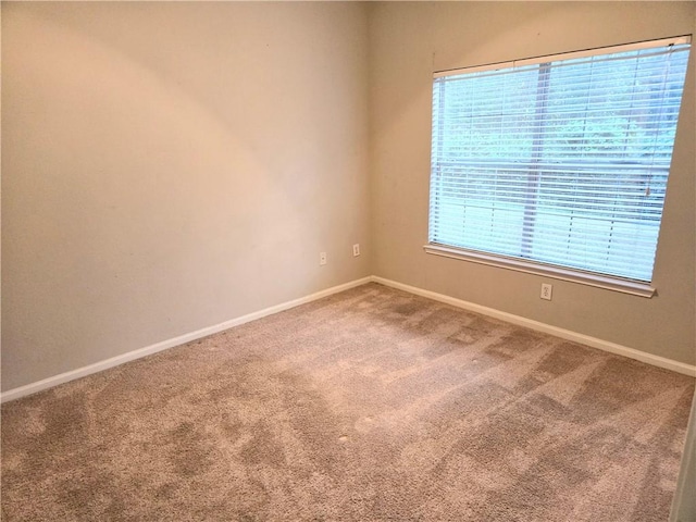 empty room featuring plenty of natural light and carpet floors