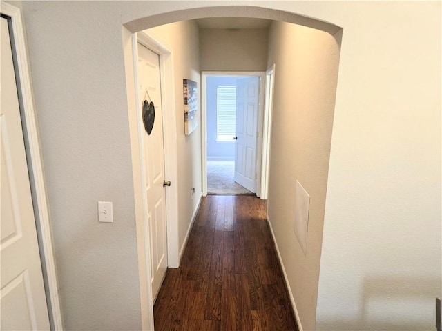 corridor featuring dark hardwood / wood-style flooring