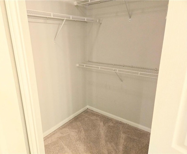 walk in closet with carpet