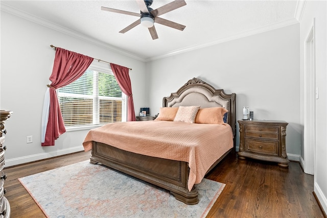 502 E Thach Ave, Auburn, AL 36801 - photo 16