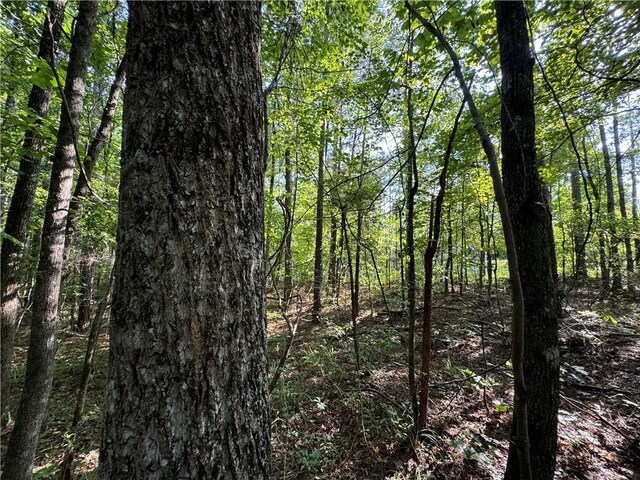 6200 Jackson, Waverly, AL 36879 - photo 20