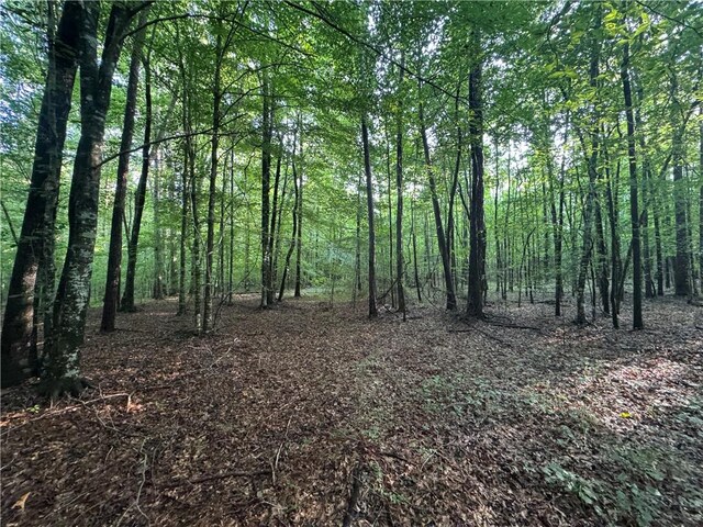6200 Jackson, Waverly, AL 36879 - photo 25