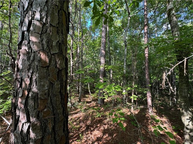 6200 Jackson, Waverly, AL 36879 - photo 21