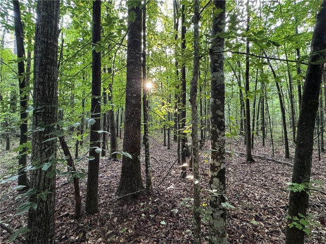 6200 Jackson, Waverly, AL 36879 - photo 23