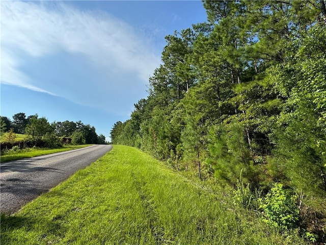 6200 Jackson, Waverly, AL 36879 - photo 4